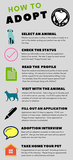 A list of how to adopt the pet of the week