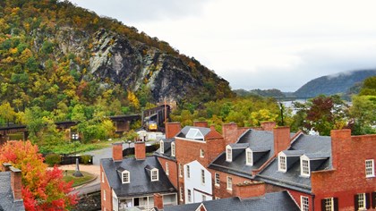 Two Deer At Harpers Ferry Test Positive For Chronic Wasting Disease