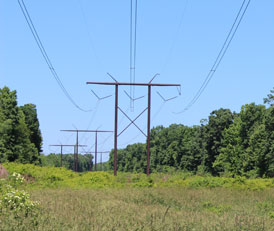 Frederick County Is Petitioning To Intervene In PSC’s Consideration Of MPRP