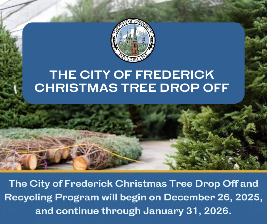 Christmas Tree Recycling Starts Dec. 26th In Frederick